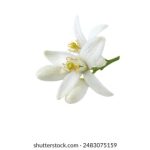 必赢56net入口:畅享多样化游戏体验与丰厚奖励 35teo68vbx