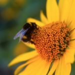 平博最新网址:探索最新的在线博彩平台动态与优惠活动 karlgza8d