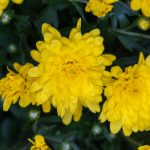 必赢真实网址的特点与优势,了解更多信息助您决策 xxr2rl5w